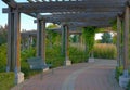 Bench under a shaded arbor.