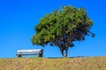 Bench under tree on hill Royalty Free Stock Photo