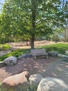 Bench under a tree in Leslie Park, Ann Arbor, Mi Royalty Free Stock Photo