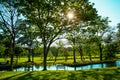 A bench under a tree with nature Royalty Free Stock Photo