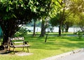 A bench under a tree Park in Bangkok. Royalty Free Stock Photo