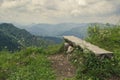 Bench with a view