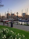 A bench with a view on the yachts` harbour in Rotterdam, Netherlands