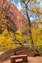 Bench by the Virgin River with Fall Trees and Cliffs in Zion National Park Royalty Free Stock Photo