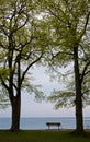 A bench at the water`s edge in Queen`s Royal Park Royalty Free Stock Photo