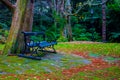 Bench at Wellington botanic garden