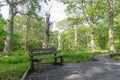 Bench by a wooden footpath in a nature reserve with old oak trees Royalty Free Stock Photo