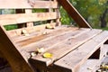 The bench of the wooden pallet stands on the alley of the park Royalty Free Stock Photo