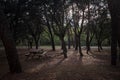 BENCH AND WOODEN TABLE TO MAKE A PIC NIC Royalty Free Stock Photo