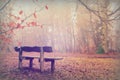 Bench in woodland on a foggy misty morning