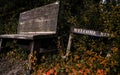 Bench in a woodland trail Royalty Free Stock Photo