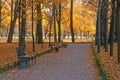 Benches on the alley in the autumn park against the background of trees with yellow autumn leaves on a sunny day Royalty Free Stock Photo