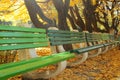 Benches Royalty Free Stock Photo