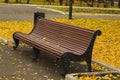 Benches in the autumn park.Autumn mood in the city Royalty Free Stock Photo