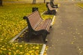 Benches in the autumn park.Autumn mood in the city Royalty Free Stock Photo