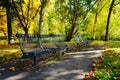 Benches in the autumn park Royalty Free Stock Photo