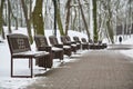 Benches covered with snow in winter park Royalty Free Stock Photo