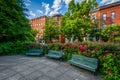 Benches and flowers at Park Avenue Median Park, in Bolton Hill, Baltimore, Maryland Royalty Free Stock Photo