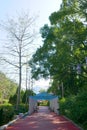 Benches, green plants and trees are in the park Royalty Free Stock Photo