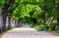 Benches on Kiev embankment in Uzhgorod