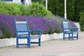 Benches and lavender, Deauville