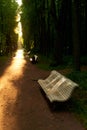 Benches in the park are blocked, closed by protective tape during self-isolation