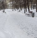 Benches in a Park Covered in Snow near Trees Royalty Free Stock Photo