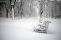 Benches in the park covered with snow Royalty Free Stock Photo