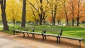 Benches at the park