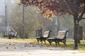 Benches by the paved path in a public park on a sunny and misty autumn morning