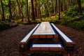 Benches and picnic tables Recreation area in the Mata da Serreta Forest Reserve in Terceira Island Royalty Free Stock Photo