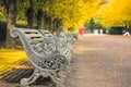 Benches in Regent`s Park of London Royalty Free Stock Photo