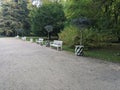 Benches stand like silent sentinels Royalty Free Stock Photo