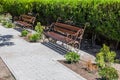 Benches standing along the sidewalk