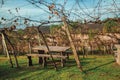 Benches and stone table amid a vineyard