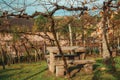 Benches and stone table amid a vineyard Royalty Free Stock Photo