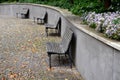 Benches at the supporting gray supporting concrete wall in the park. Purple asters bloom above the wall in the flowerbed. wood pan Royalty Free Stock Photo