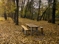 Benches and a table roughly made of planks, standing in a clearing in the autumn forest Royalty Free Stock Photo