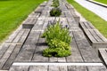 Benches and tables with flowers arranged in a row in the park, in the background a lawn. Royalty Free Stock Photo