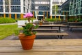 On the benches there are pots with flowers Royalty Free Stock Photo