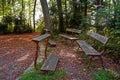 Prayer and contemplation in the middle of the forest on a calvaryreflection in the middle of the forest on a calvary