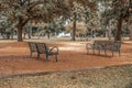 Benches under the trees at beautiful city park