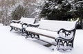 benches in winter under snow in a park