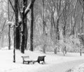 Benchs in snow in park Royalty Free Stock Photo