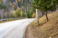 Bend in the asphalt road in the forest. Royalty Free Stock Photo