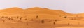 Bend of the ridge of a sand dune in the desert