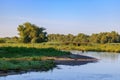 Bend of river bed on the background of green trees and grass against blue sky. River landscape Royalty Free Stock Photo