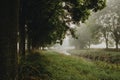 The bend of the river flowing between rows of green deciduous trees during the misty summer morning with light of the sunrise Royalty Free Stock Photo