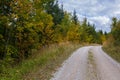 A bend in walking path in forest during Autumn, curve on hiking