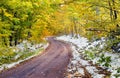 Bend in a Yellow Road Royalty Free Stock Photo